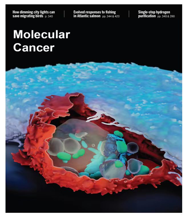 微信图片_20240625180325.jpg 微信图片_20240625180325.jpg