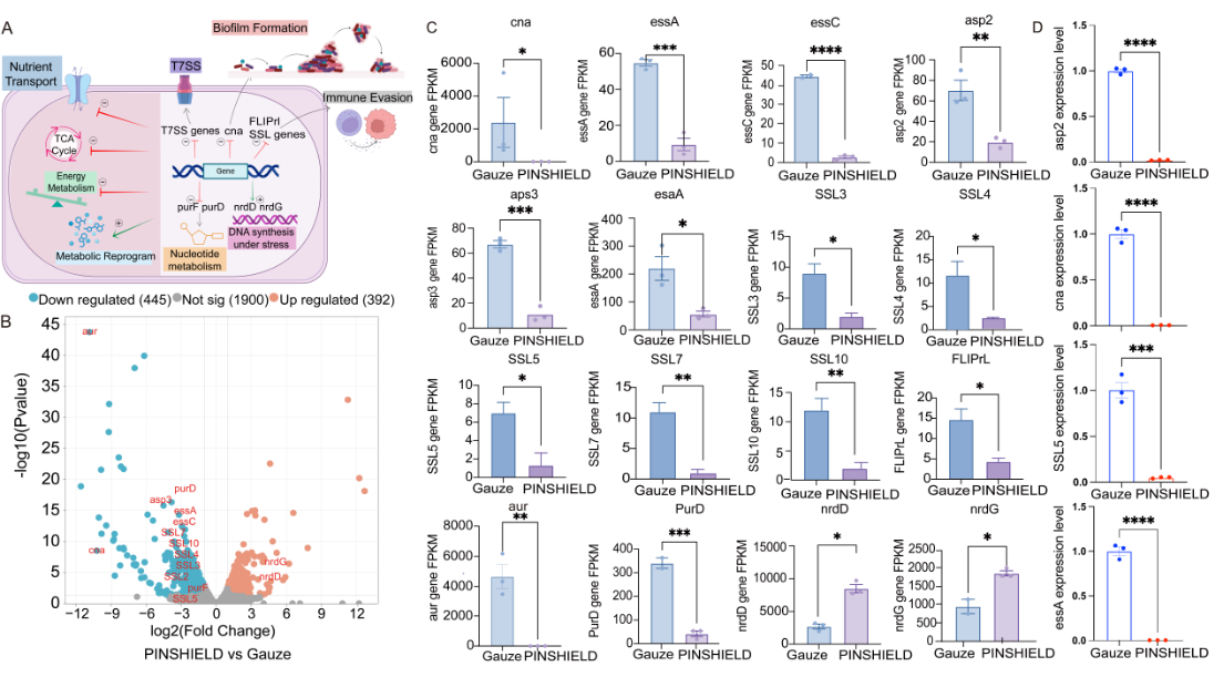 074a8be86b05451be5d1adf3ff47ed5.png 074a8be86b05451be5d1adf3ff47ed5.png