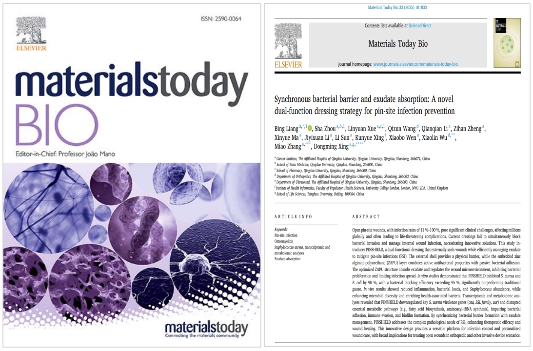 图片333.png 图片333.png